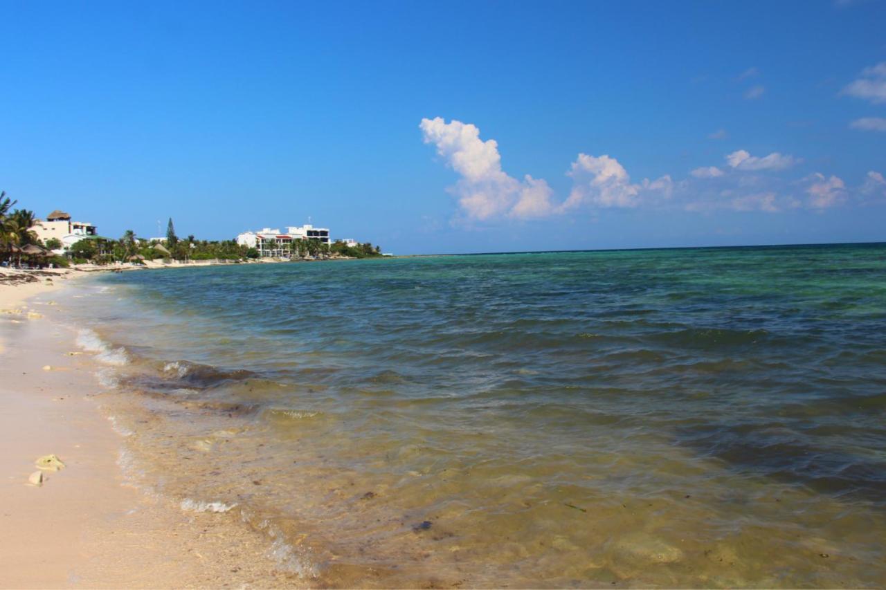 Beautiful & Cozy Studio In Akumal Paradise-Wifi, Ac Exterior foto